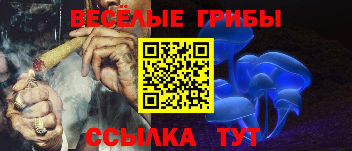 Татарск  Галлюциногенные грибы Psilocybine cubensis  Вход с VPN 